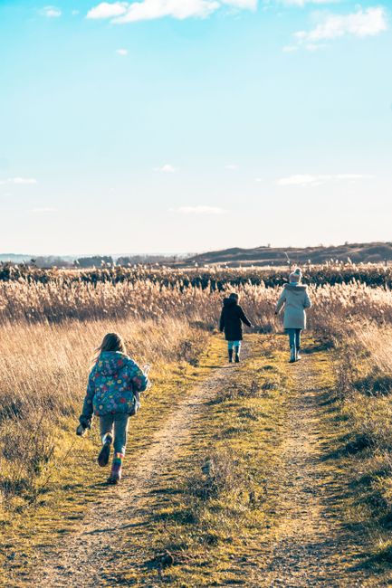 This image shows three children walking along a grassy dirt path through a field of tall, golden grasses under a clear blue sky. The children are dressed in casual outerwear suitable for cool weather,